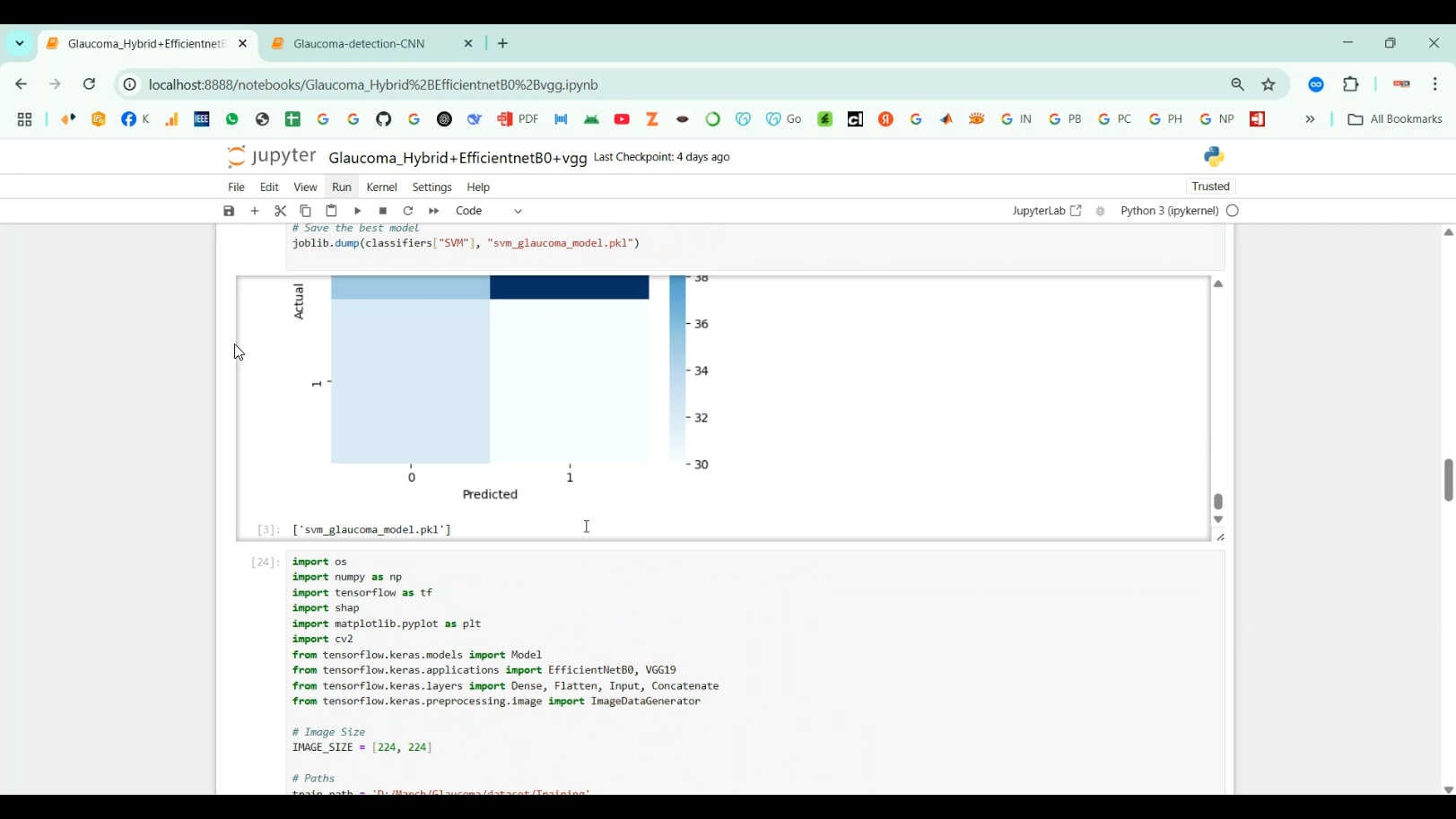 Glaucoma Detection CNN in Python Projects
