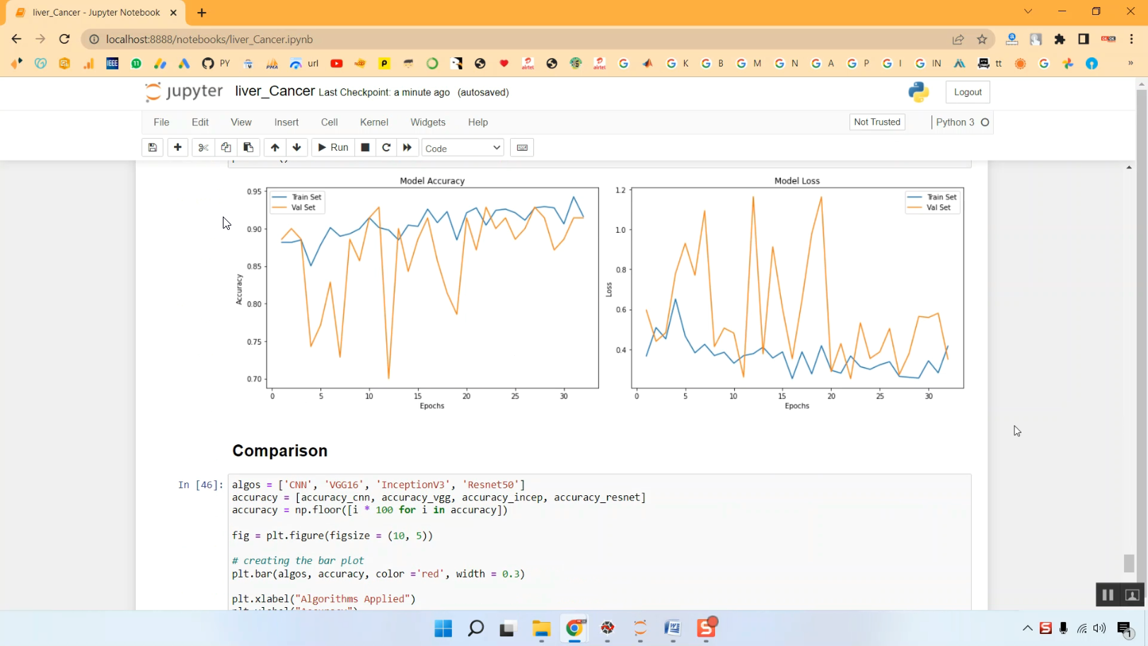 Liver Cancer Classification Train in Python Projects