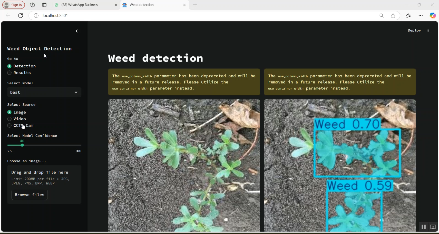 Weed Detection in Python Projects