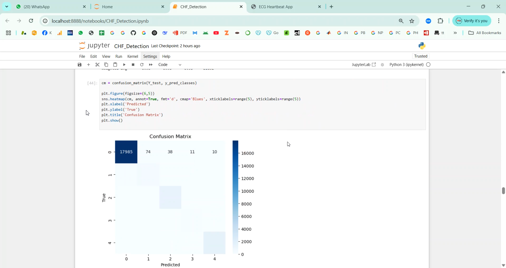 ECG Congestive Heart Failure Detection in Python Projects