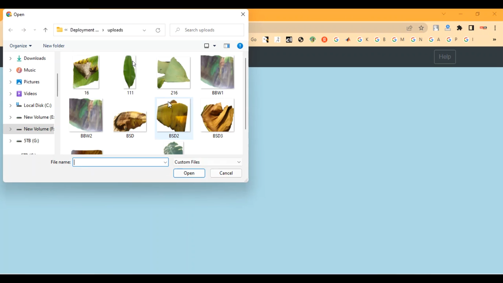 Banana Leaf Disease Detection CNN Train Flask in Python Projects