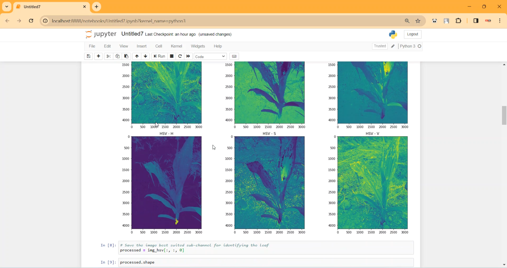 Corn Plant Leaf Diease Classification in Python Projects