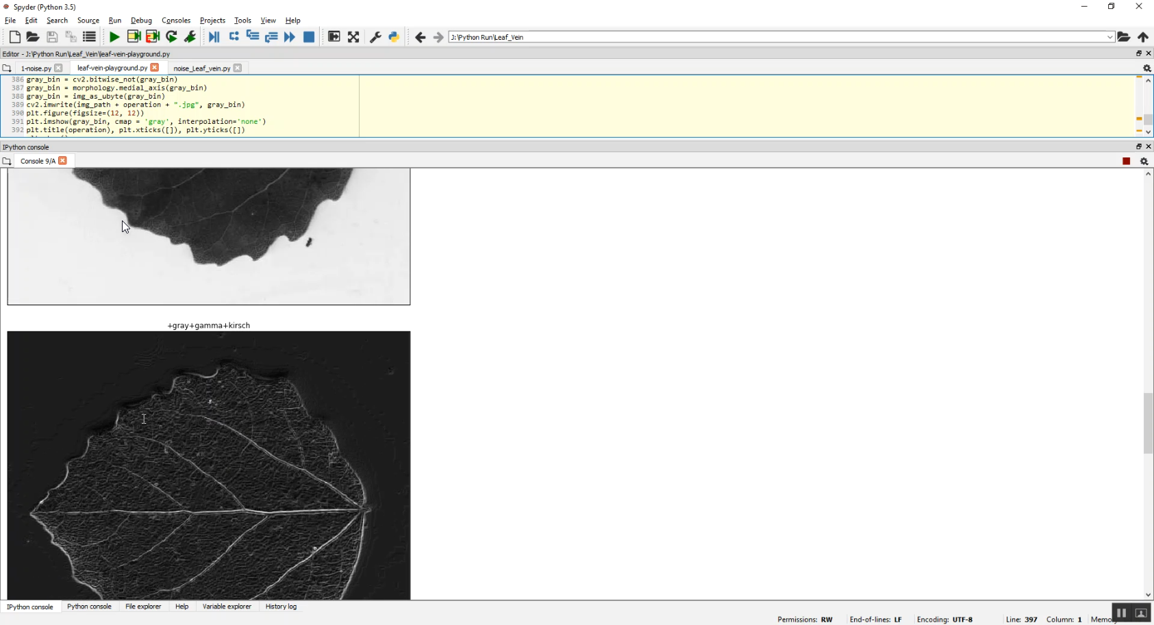 Leaf Vein Image Classification in Python Projects