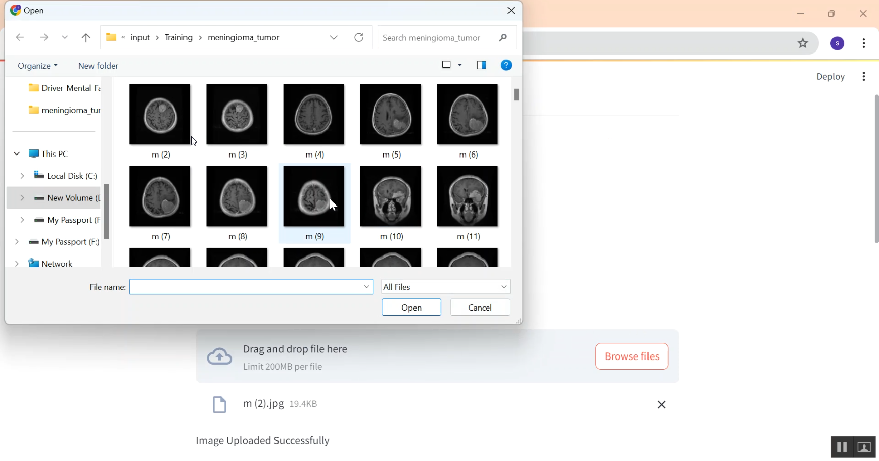 Brain MRI image Segmentation in Python Projects