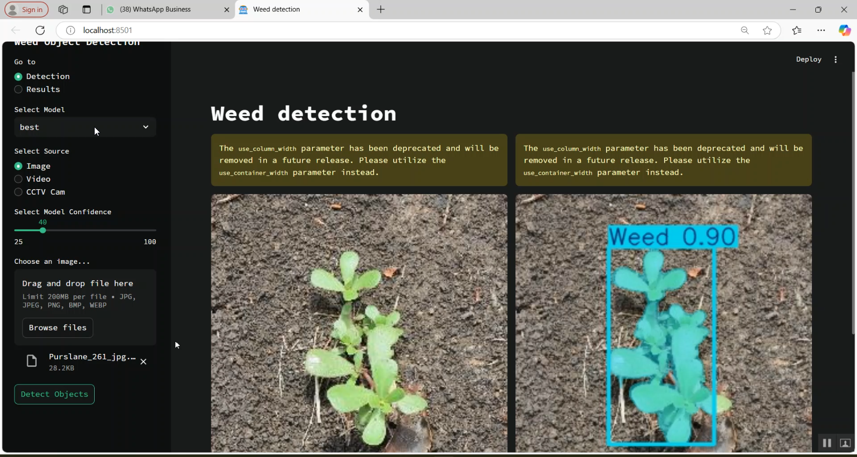 Weed Detection in Python Projects