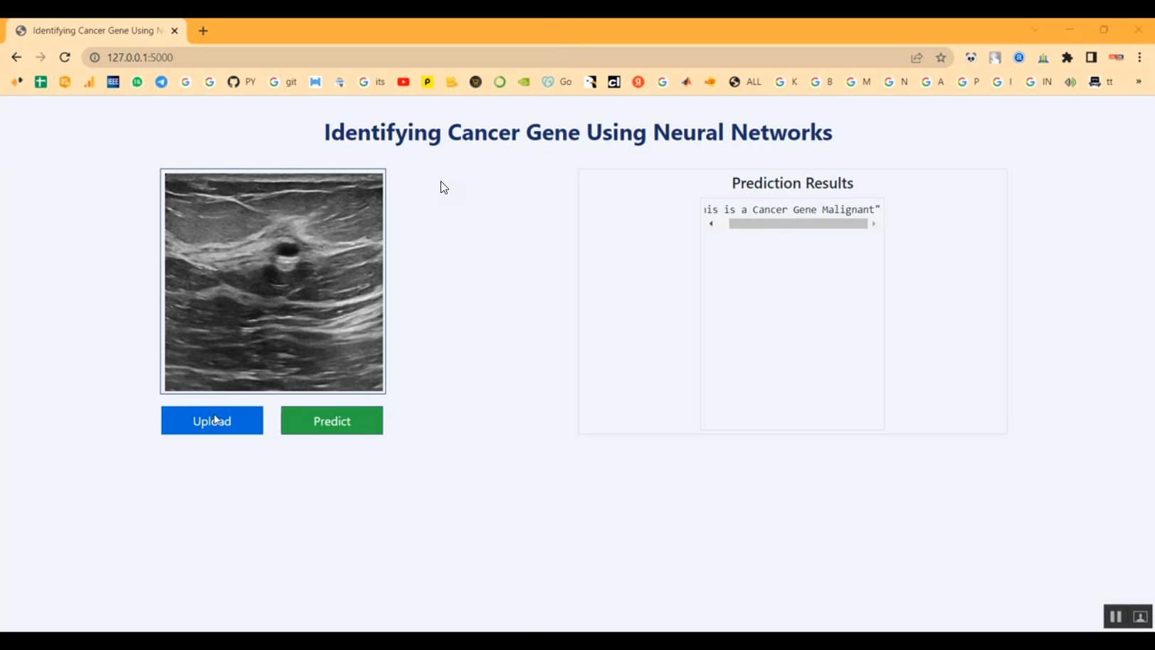 Gene Based Classification CNN Flask App in Python Projects
