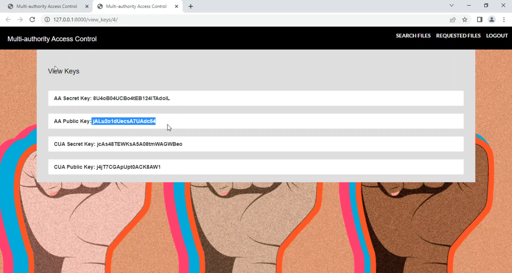 Data Security Multiple Access Protection in Django Python